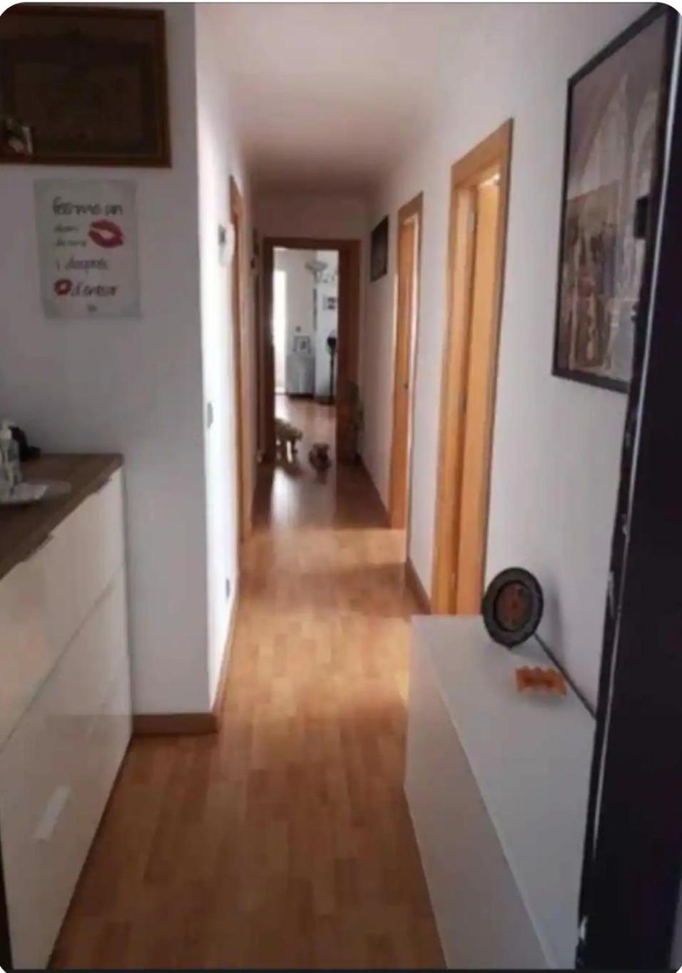 Habitacion Maria Jose Benidorm Bagian luar foto